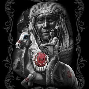 Defiance Special Edition luxury queen blanket 4-5LBS NWT by DGA